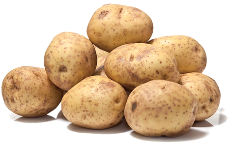 Unsere Kartoffel - ein starkes Stück