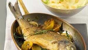 Rezept Estragon-Dorade vom Blech mit Kartoffel-Fenchel-Püree