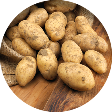 Die Kartoffel - Daten & Fakten